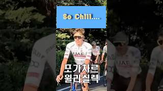 2024 TDF 포가차르 윌리 영상 #wheelies#wheelies#윌리#포가차르#poğaça#chill#chillguy#sochill#칠가이#칠#픽시#픽시트릭