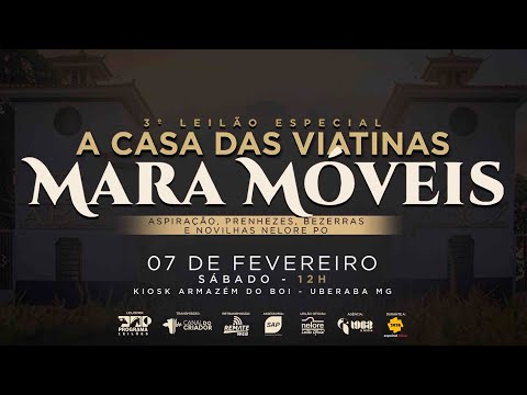 LOTE 35   LELIA FIV MARA MOVEIS    MARA 3145