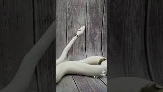 Do you know what a paradox is in a ball python? Wealth