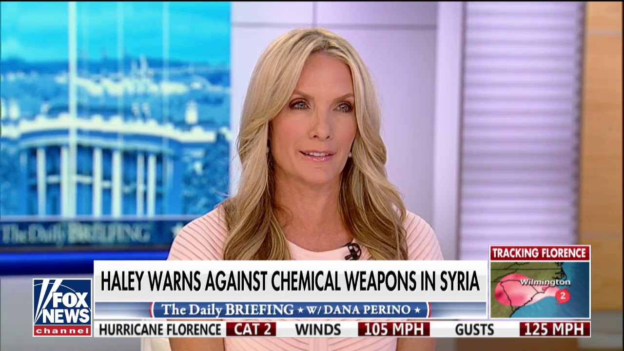 Russian military aircraft accidentally shot down by Syrian forces, Moscow blames Israel