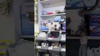 #keşfet#keşfetteyiz#benikeşfet#hayvanbelgeseli