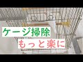 【文鳥も飼主も快適に！】ケージ掃除が楽になる方法