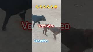 🌀#vairalvideo 🤣#shortvideo 👍#funny #interactive😄 @a.k.b6211😏