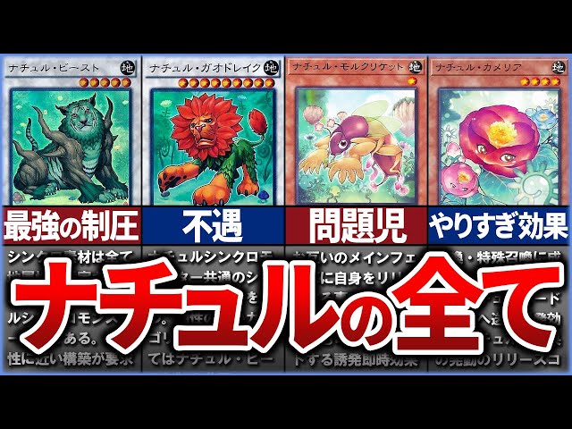 遊戯王ナチュルシンクロデュエルターミナル仕様セット sddefault.jpg