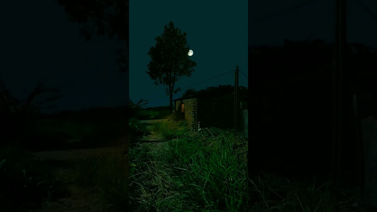 Timelapse background music no copyright | No Copyright music 