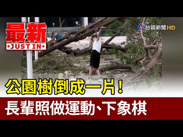 樹與老翁 老翁離奇