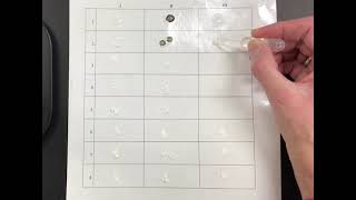 Mystery powders lab ~ unknowns experiment