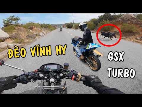 Video Thiện Red lần đầu phượt Đèo Vĩnh Hy chạm mặt Racing Dê... - youtube