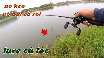 Câu Lure Cá Lóc ✅ Câu Cá Lóc Buổi Chiều Trúng Giờ Cá Ăn Mạnh Và Cái Kết | Tâm Râu Vlog #239