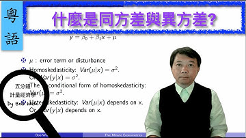 【Cantonese粵語】什麼是同方差與異方差?｜五分鐘計量經濟學（計量經濟學輔導）第二十八集