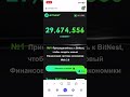 BITNEST. Profit in USDT/USDC (JOIN OUR TEAM HERE- https://t.me/bitnest554477) #bitnest