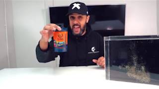 Firstbite Copepods Aarons Aquarium Quick Vid