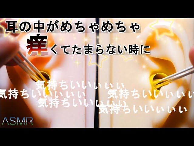 【ASMR】耳穴がめちゃ痒い時に聴きたい気持ちいい耳掃除の音 / Ear cleaning sound heard when the ear hole is itchy