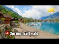 Switzerland 🇨🇭 Iseltwald Spring walk, a gem located on Lake Brienz, Iseltwald Switzerland 4K