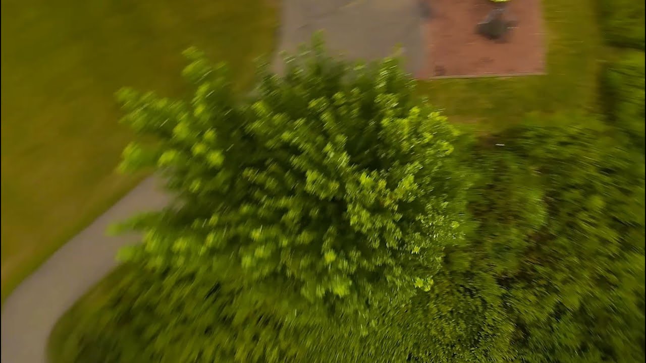 Dropping my Drone On Trees - Leaves and Branches Paralax Effect - New Prespective - DJI Avata FPV