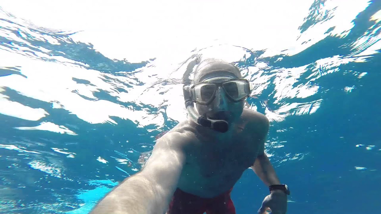 Playing with Sharks, Bora Bora 2-2014