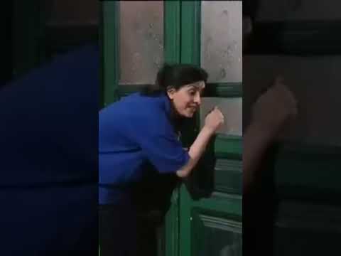 عفرا انهت علاقتها بريبال عيلة 8 نجوم وطن فلكس اكسبلور