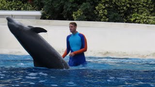 Bubba's Vertical Spin (11/17/19) screenshot 3