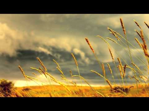 Alex M.O.R.P.H Feat. Ana Criado - Sunset Boullevard (Paul Van Dyk Remix) [HQ] [HD]