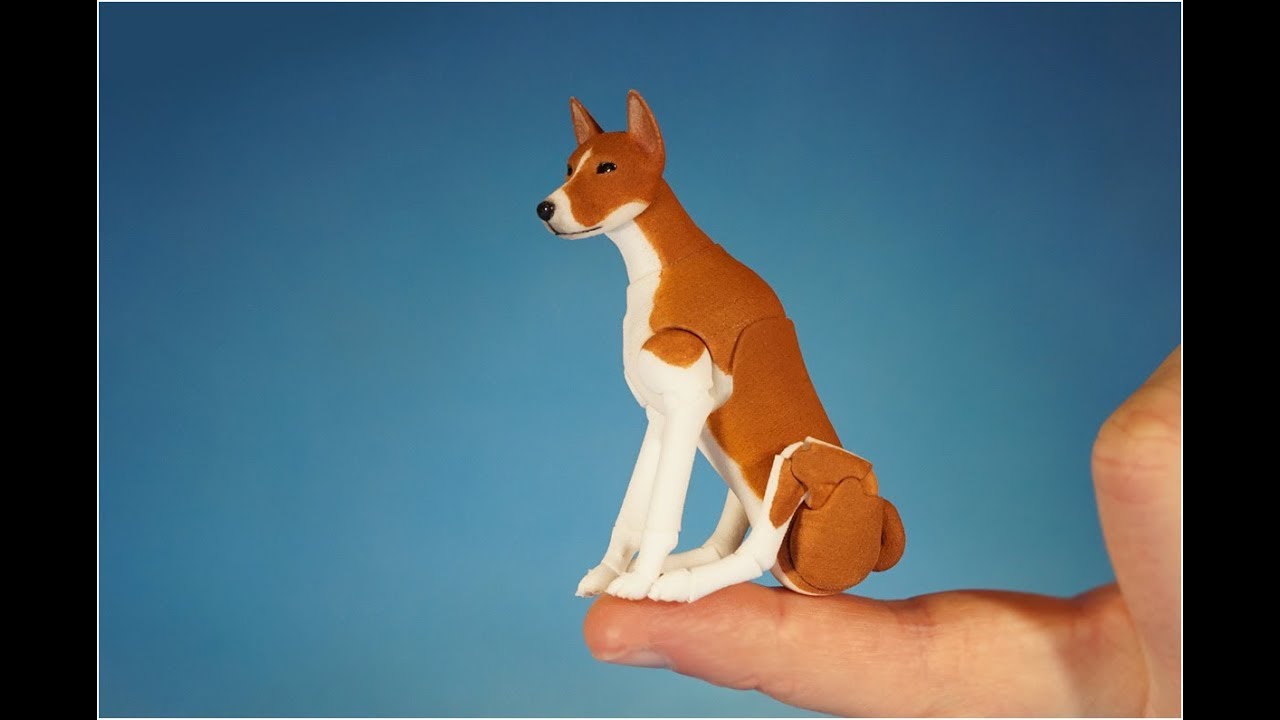 Basenji Elleo