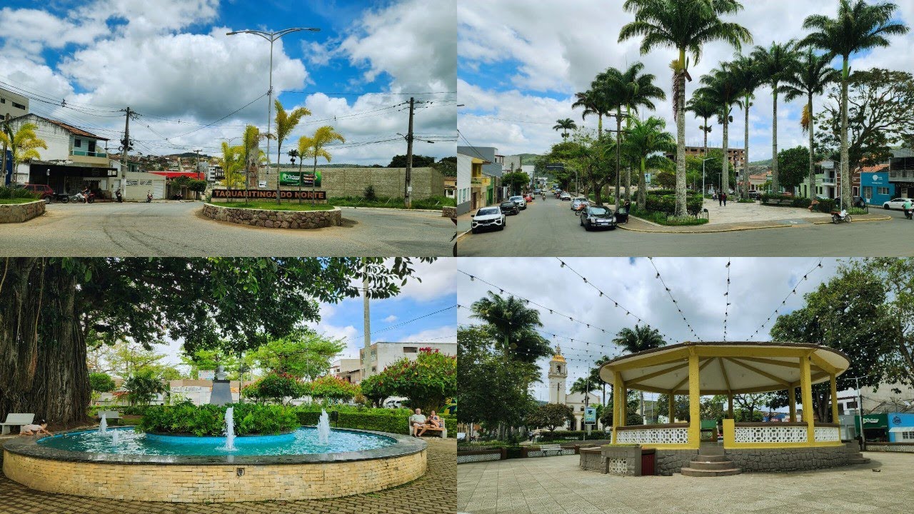 Taquaritinga do Norte: A Dália da Serra e Capital do Café em Pernambuco