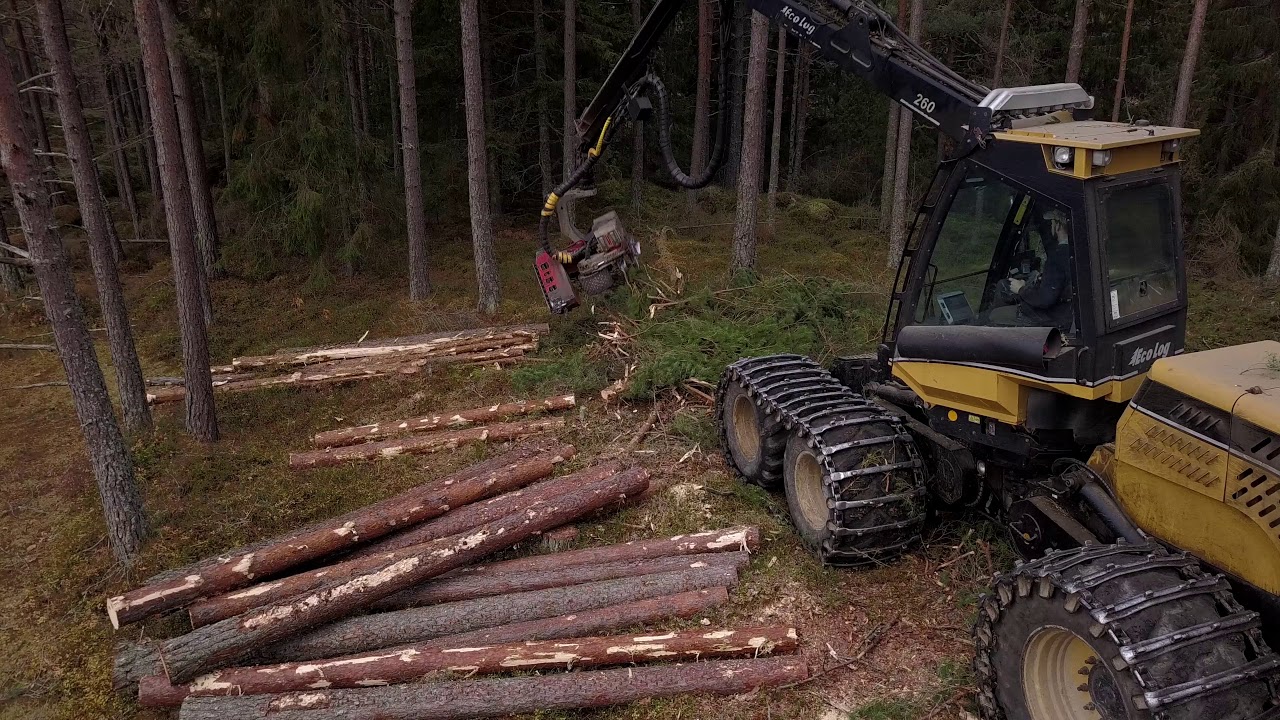 Ecolog 580D & Logmax 5000V slutavverkning i Sörmland 4K (Part 1)
