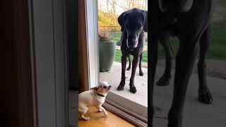 VID 20260404 WA0000