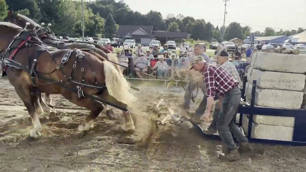 Bear Lake Days Horsepower Horse Pulls 2024