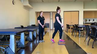 Level 2- Step Up with Overhead Reach