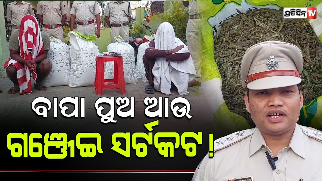 ବାପ ପୁଅର ଦିବା ସ୍ଵପ୍ନ ଭାଙ୍ଗିଗଲା, ଘରୁ ବାହାରିଲା ୧ କୁଇଣ୍ଟାଲ ଗଞ୍ଜେଇ l Ganja seized in Sambalpur