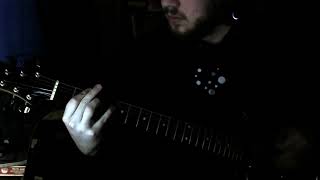 nothing - i hate the flowers (guitar cover)