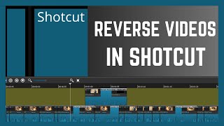 How To Add Reverse Motion On Videos In Shotcut
