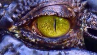 subliminal get reptile eyes 45 faster
