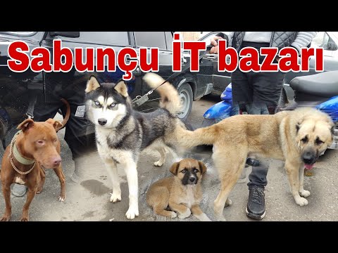 Video: Alman Bit Bazarları Və Ya Flomarkts