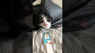 This doodle hand is SO ANNOYING! 😹 #funnycats  #cutecat #cat  #mimiplanet