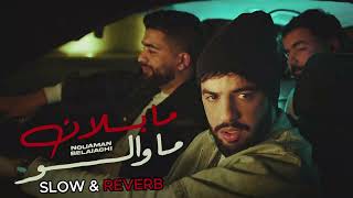 Nouaman Belaiachi - Ma Blan Ma Walo (SLow and Reverb Version)