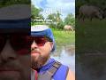 Hello Donkey! 👋 On the Finley River in Ozark. 😎🛶🫏 #Nature #Outdoors #Workout #River #ozarks