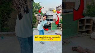 Loft ka gate banate hue eagle mil gya 😭💔😱 #minivlog #viral #shorts