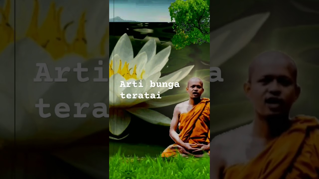 Arti bunga teratai adalah kekuatan pribadi dan pengingat kehidupan yang hanya sementara ini