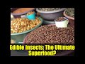 Edible Insects: The Ultimate Superfood? | High Protein, Healthy Fats, and More
