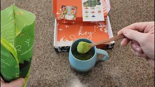 Ryze Mushroom Matcha Review