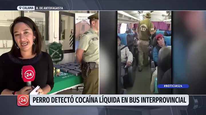 Calama: Perro de Carabineros detecta cocaína líquida en cajas de jugo