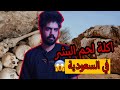 آكلة لحوم البشر في السعودية قصة حقيقية قصص مرعبة مع حسن علي