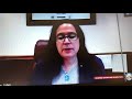 Assemblywoman Lesley Cohen - April 6, 2021