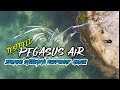 REEL BC ANTI REWEL !!! DAIDO PEGASUS AIR