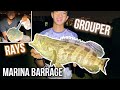 Grouper Fishing in Singapore (Catch and Cook!)