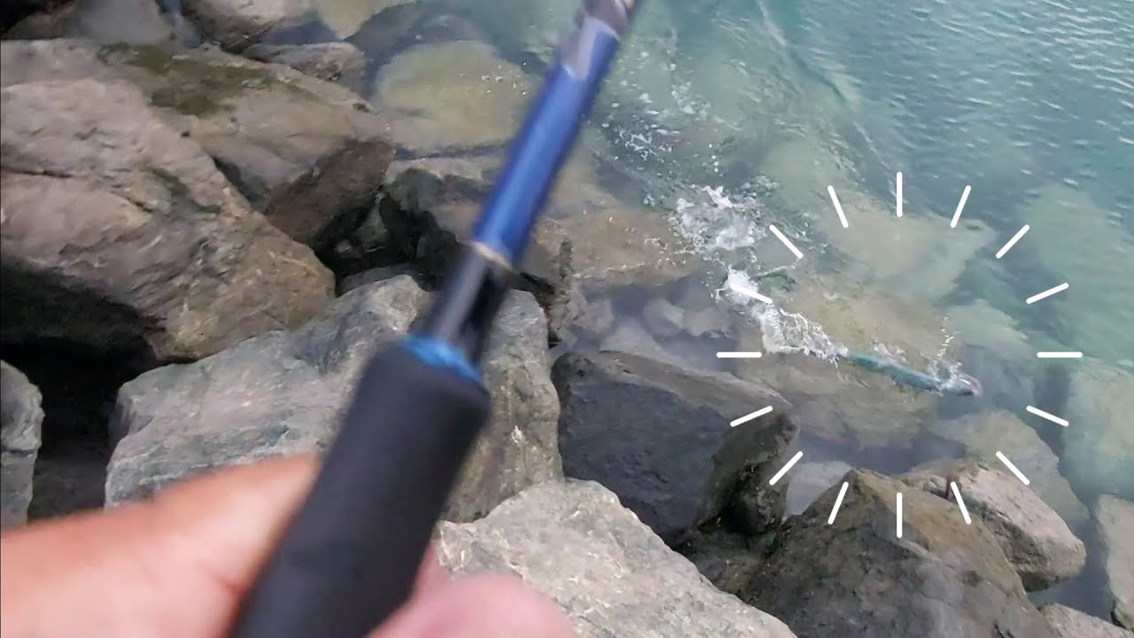 Shore casting in Abu Dhabi Kingfish Trevally landed using my light