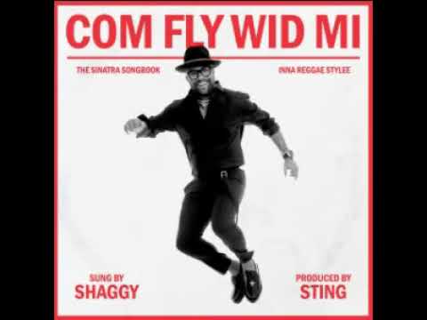 Putar Saturday Night - Shaggy