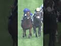 A Second G1 Woodbine Mile for NOTABLE SPEECH!