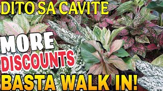 Garden Tour  Pumili Na Kayopm Agad plants vlog garden subscribe selling 